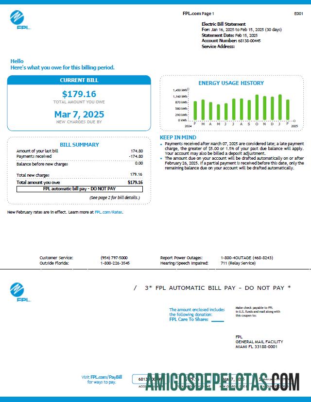 imprimível Modelo de fatura de serviços públicos FPL dos EUA em formatos Word e PDF, versão 6